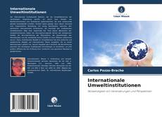 Internationale Umweltinstitutionen的封面