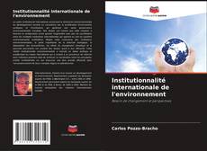 Capa do livro de Institutionnalité internationale de l'environnement 