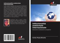 Istituzionalità ambientale internazionale kitap kapağı
