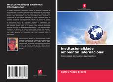 Buchcover von Institucionalidade ambiental internacional