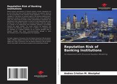 Reputation Risk of Banking Institutions的封面