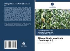 Stängelfäule von Mais (Zea mays L.) kitap kapağı