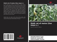 Portada del libro de Stalk rot of maize (Zea mays L.)