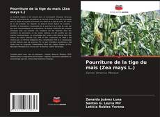 Capa do livro de Pourriture de la tige du maïs (Zea mays L.) 