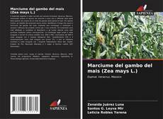 Capa do livro de Marciume del gambo del mais (Zea mays L.) 