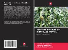 Capa do livro de Podridão do caule do milho (Zea mays L.) 