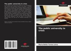 Bookcover of The public university in crisis