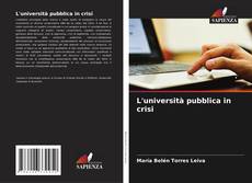 Buchcover von L'università pubblica in crisi