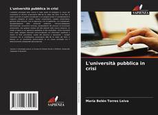 Capa do livro de L'università pubblica in crisi 