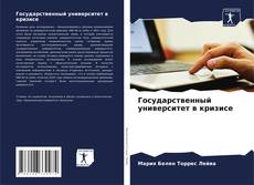Bookcover of Государственный университет в кризисе