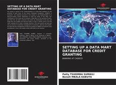 Buchcover von SETTING UP A DATA MART DATABASE FOR CREDIT GRANTING