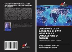 CREAZIONE DI UN DATABASE DI DATA MART PER LA CONCESSIONE DI CREDITI kitap kapağı