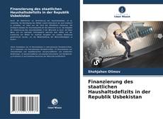 Finanzierung des staatlichen Haushaltsdefizits in der Republik Usbekistan kitap kapağı