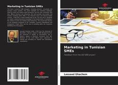 Bookcover of Marketing in Tunisian SMEs