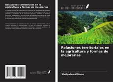 Buchcover von Relaciones territoriales en la agricultura y formas de mejorarlas