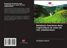 Portada del libro de Relations foncières dans l'agriculture et voies de leur amélioration