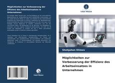 Möglichkeiten zur Verbesserung der Effizienz des Arbeitseinsatzes in Unternehmen kitap kapağı