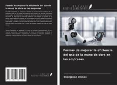 Bookcover of Formas de mejorar la eficiencia del uso de la mano de obra en las empresas