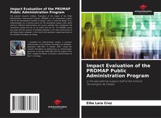 Copertina di Impact Evaluation of the PROMAP Public Administration Program