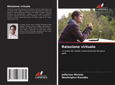 Buchcover von Relazione virtuale