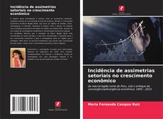 Buchcover von Incidência de assimetrias setoriais no crescimento econômico