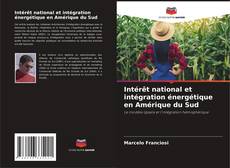 Bookcover of Intérêt national et intégration énergétique en Amérique du Sud