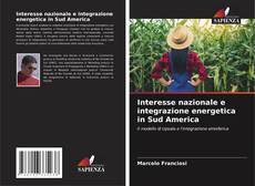 Copertina di Interesse nazionale e integrazione energetica in Sud America