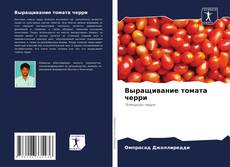 Выращивание томата черри kitap kapağı