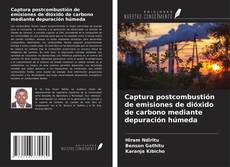 Captura postcombustión de emisiones de dióxido de carbono mediante depuración húmeda的封面