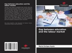 Gap between education and the labour market kitap kapağı