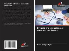 Buchcover von Divario tra istruzione e mercato del lavoro