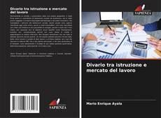 Couverture de Divario tra istruzione e mercato del lavoro