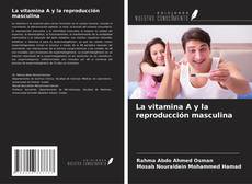 La vitamina A y la reproducción masculina kitap kapağı