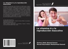 Copertina di La vitamina A y la reproducción masculina