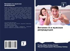 Обложка Витамин А и мужская репродукция