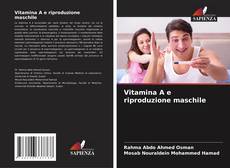 Copertina di Vitamina A e riproduzione maschile
