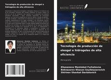 Copertina di Tecnología de producción de oleogel e hidrogeles de alta eficiencia