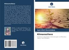 Portada del libro de Klimaresilienz