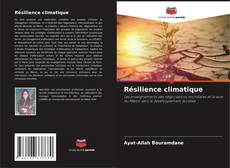 Buchcover von Résilience climatique