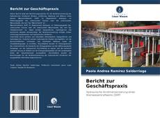 Portada del libro de Bericht zur Geschäftspraxis