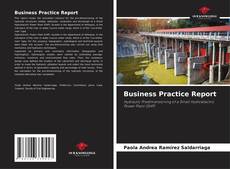 Capa do livro de Business Practice Report 