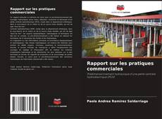 Rapport sur les pratiques commerciales kitap kapağı