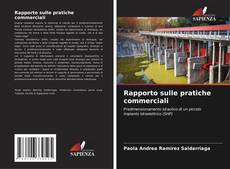 Bookcover of Rapporto sulle pratiche commerciali