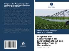 Diagnose der Auswirkungen der Landwirtschaft auf den Muzambo-Fluss in Muzambinho kitap kapağı