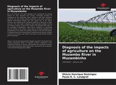 Bookcover of Diagnosis of the impacts of agriculture on the Muzambo River in Muzambinho