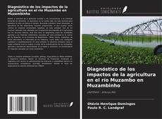 Capa do livro de Diagnóstico de los impactos de la agricultura en el río Muzambo en Muzambinho 