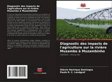 Diagnostic des impacts de l'agriculture sur la rivière Muzambo à Muzambinho的封面