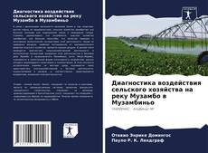 Buchcover von Диагностика воздействия сельского хозяйства на реку Музамбо в Музамбиньо