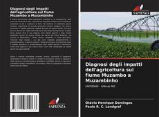 Buchcover von Diagnosi degli impatti dell'agricoltura sul fiume Muzambo a Muzambinho