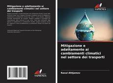 Bookcover of Mitigazione e adattamento ai cambiamenti climatici nel settore dei trasporti